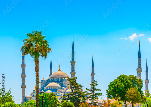 The famous Blue Jami (mosque) at Istanbul in Turkey