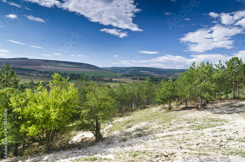 Sunny Blue Sky, Meadow and a tree near the village Katselovo photo