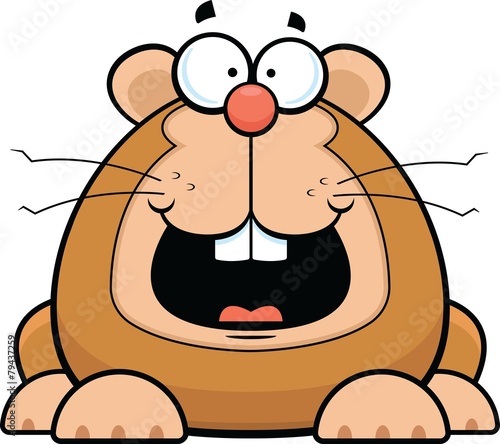 Cartoon Hamster Happy