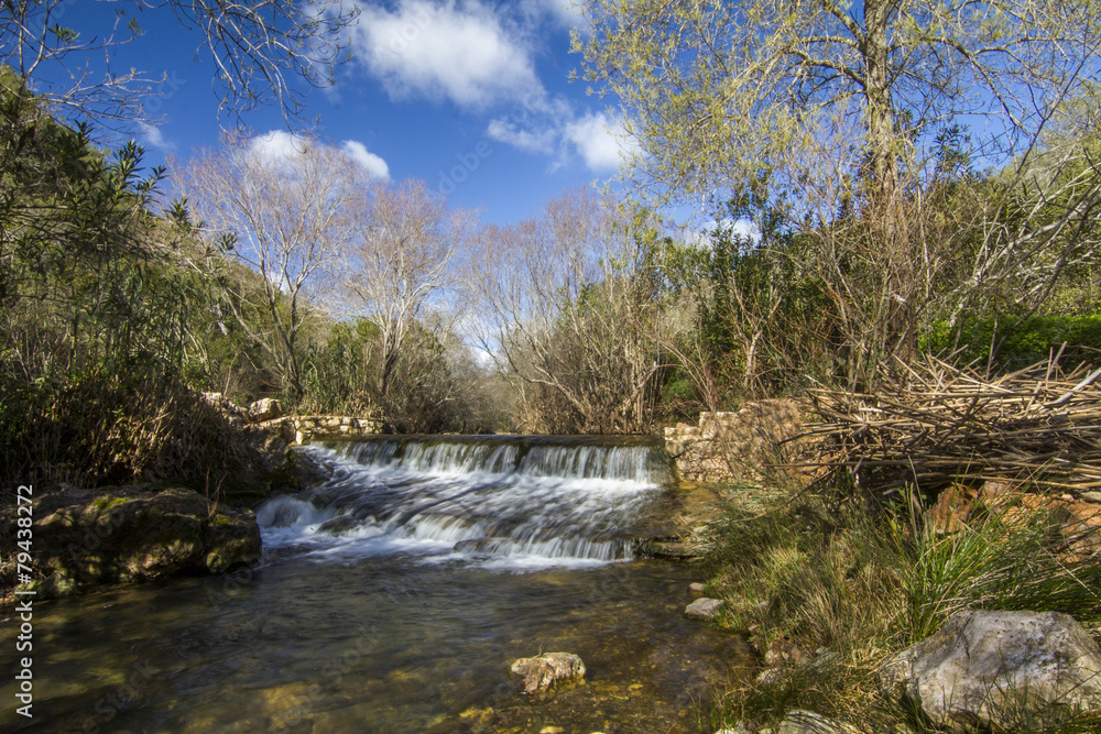 Fototapeta premium View of a fresh stream of water on the forest.