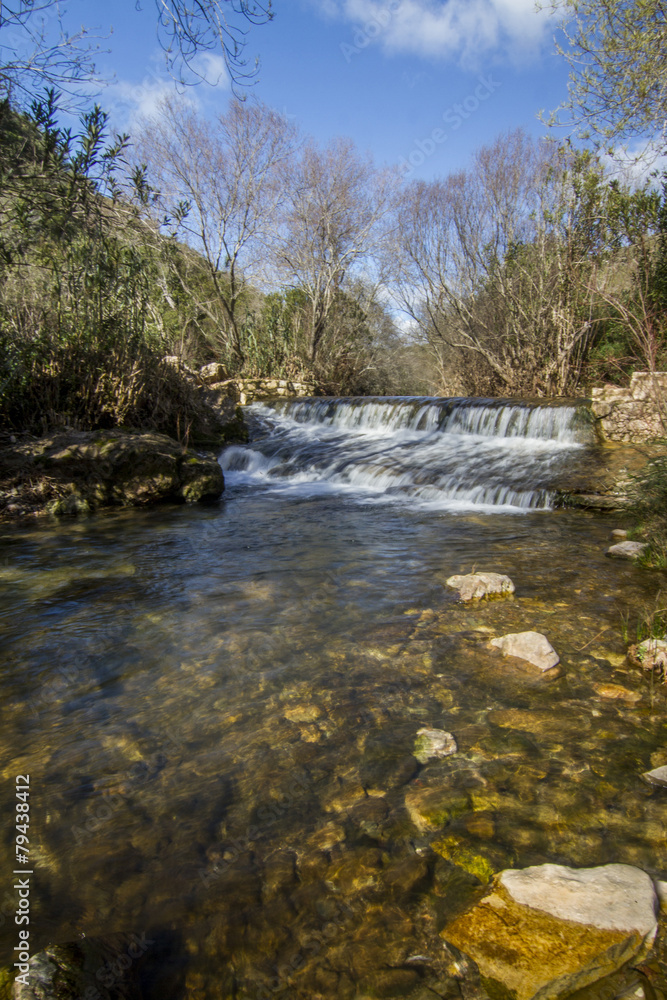 View of a fresh stream of water on the forest. View of a fresh stream of water on the forest.