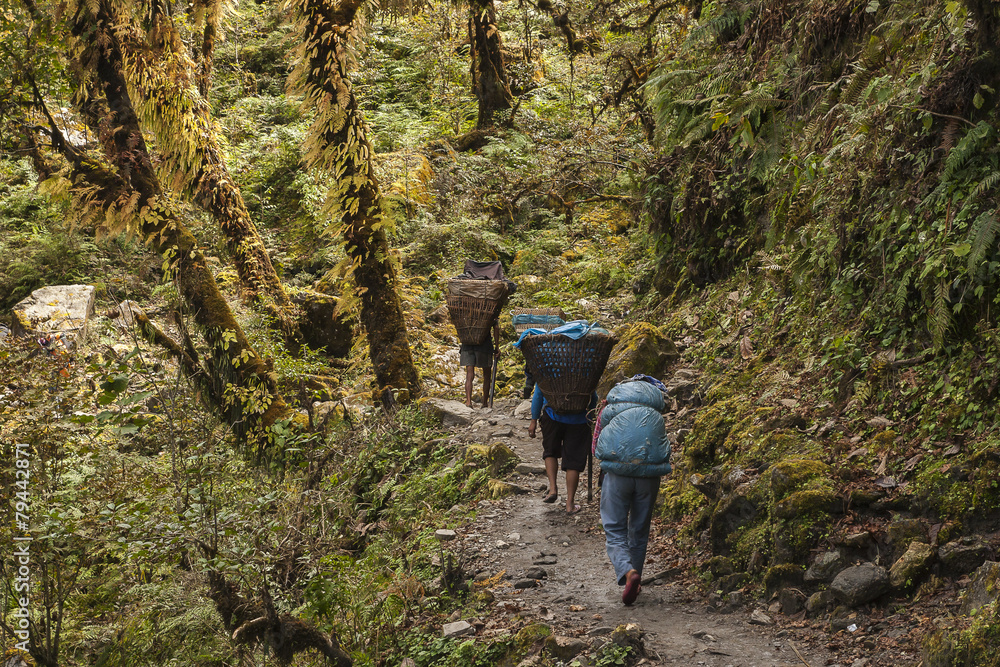 Fototapeta premium porters