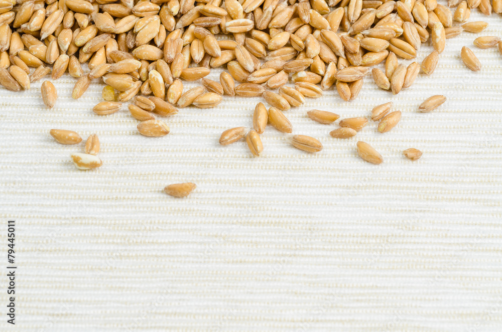 Obraz premium spelt on table cloth, close up, background