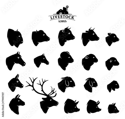 Vector Livestock Icons Isolated on White