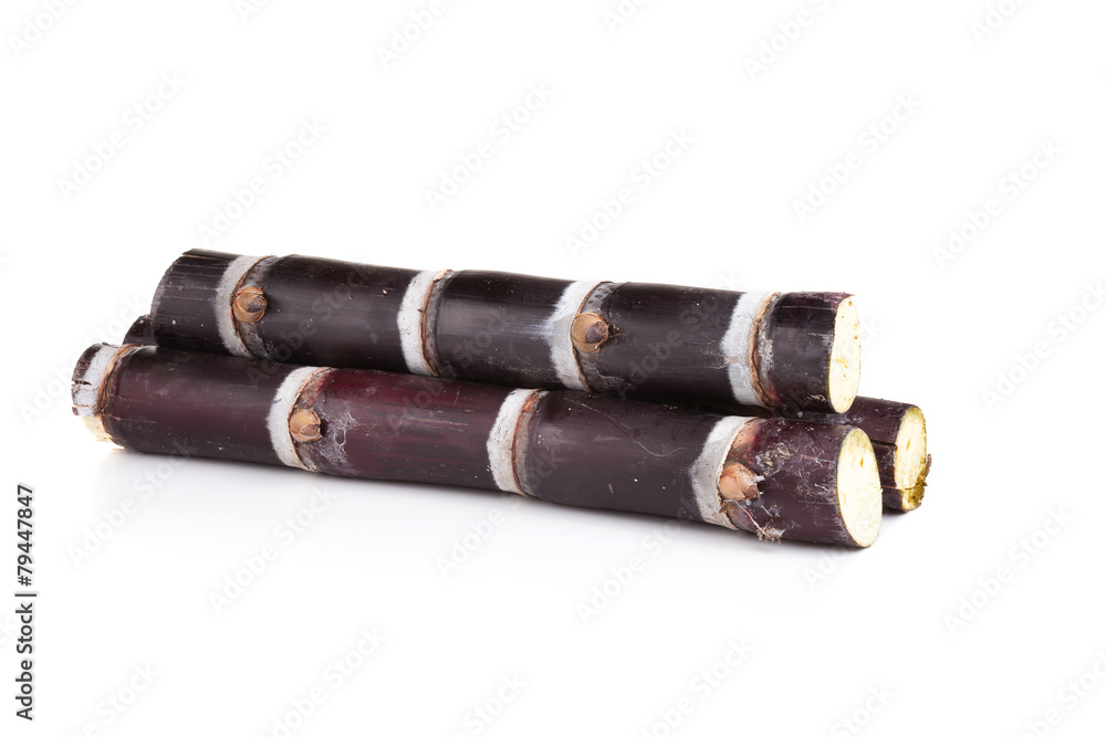 sugar cane on white background sugar cane on white background