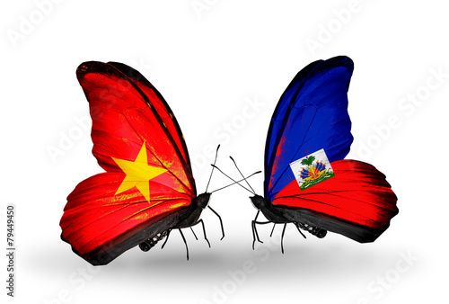 Two butterflies with flags Vietnam and Haiti photo