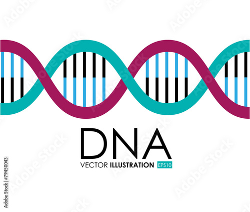 DNA design, vector illustration.