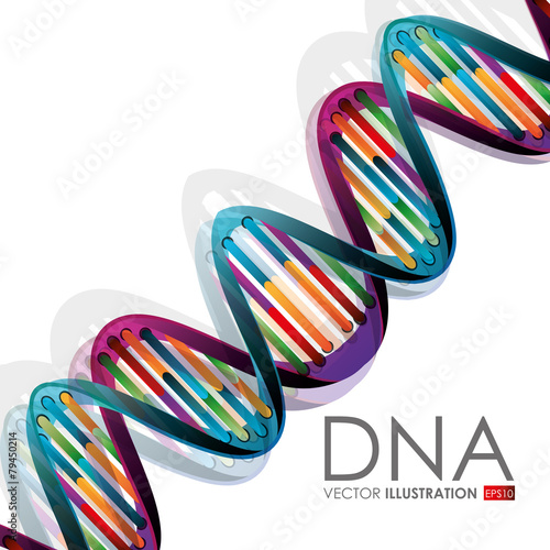 DNA design, vector illustration.