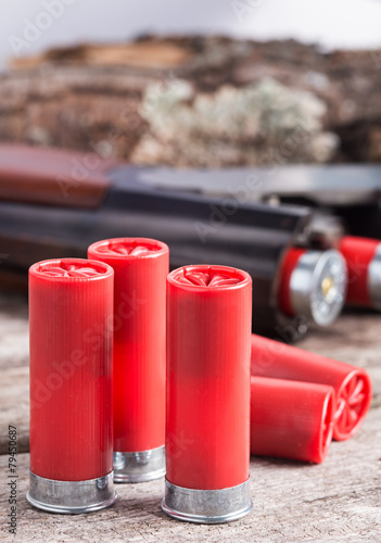Photography 12 gauge shotgun shells with shotgun on wood surface