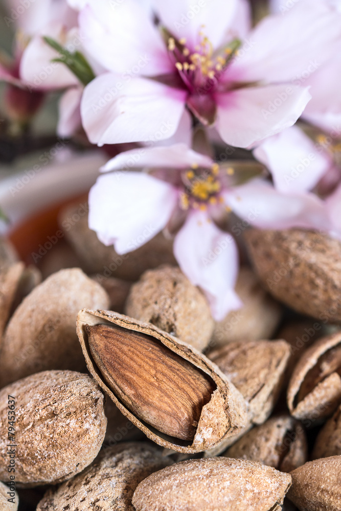 Almonds and flower tree