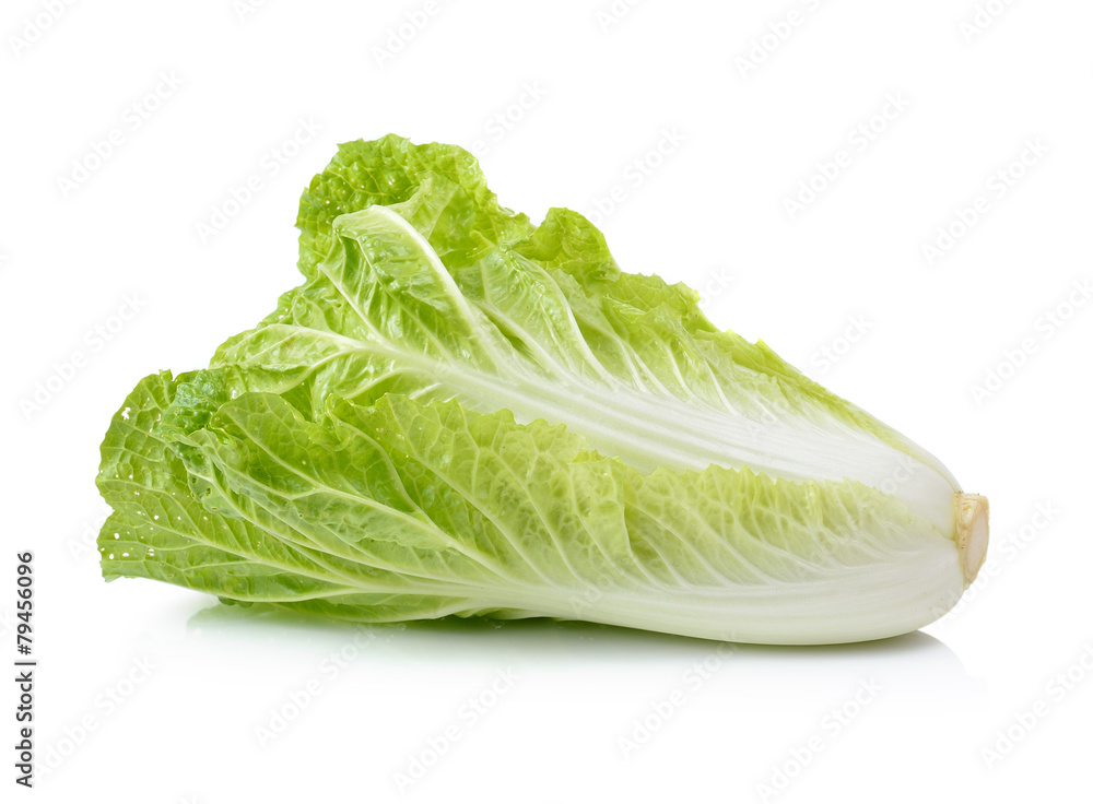 fresh chinese cabbage on a white background fresh chinese cabbage on a white background