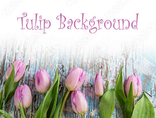 Fototapeta Naklejka Na Ścianę i Meble -  Beautiful tulips background