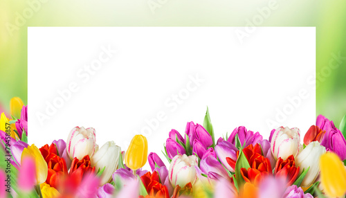 Fototapeta Naklejka Na Ścianę i Meble -  Beautiful bouquet of tulips.