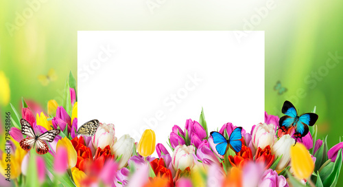 Fototapeta Naklejka Na Ścianę i Meble -  Beautiful bouquet of tulips.