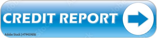 button credit report