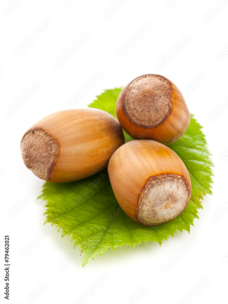 Hazelnuts with hazelnut leaf on white background Hazelnuts with hazelnut leaf on white background