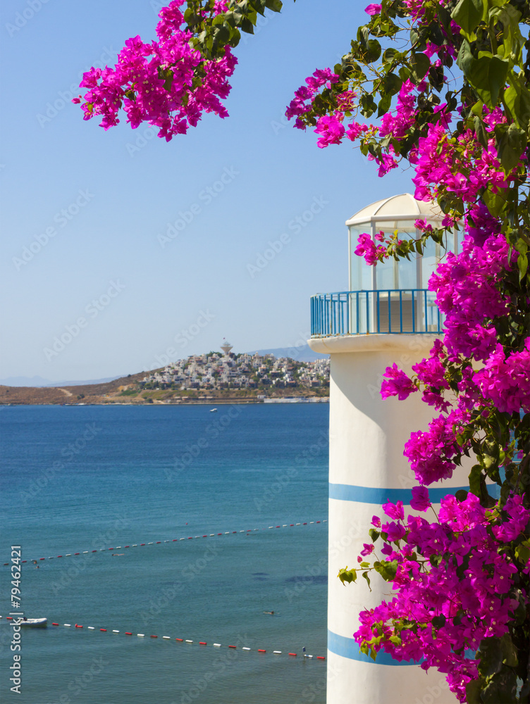 Obraz premium Lighthouse overlooking the sea in Turkey