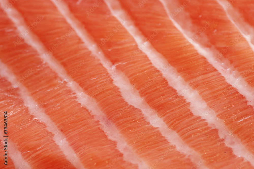 Fresh salmon fillet close up