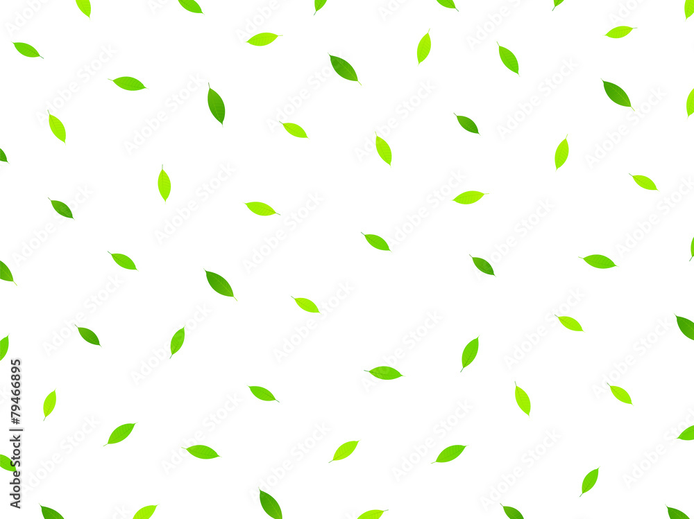 葉 新緑 背景 葉 新緑 背景