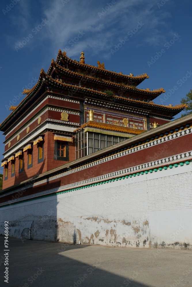 Fototapeta premium Tibetian Mango monastery