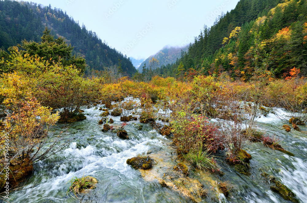 Jiuzhaigou National Park,Sichuan China Jiuzhaigou National Park,Sichuan China