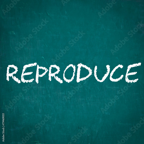 Slika na platnu REPRODUCE written on chalkboard