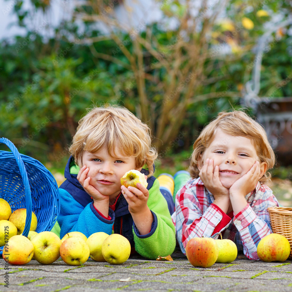 Fototapeta premium Two adorable little sibling kids eating apples in home's garden,
