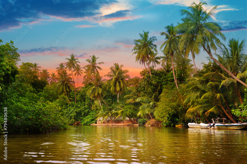 Fototapeta premium river, beautiful sunrise and tropical palms