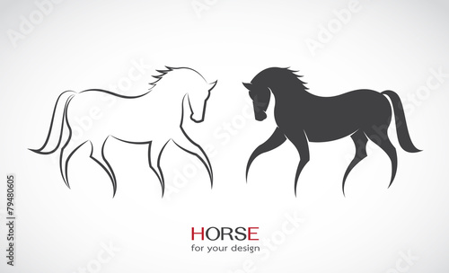 Vector image of an horse design on white background