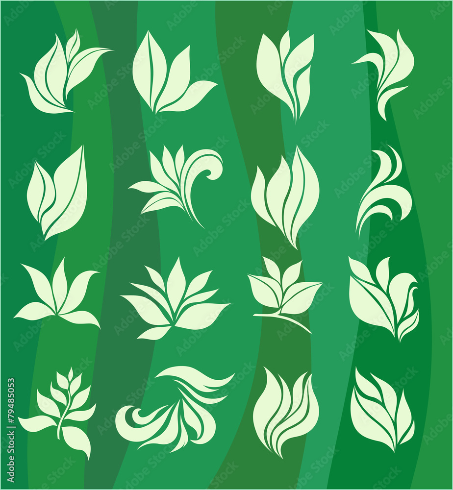 Fototapeta premium set of elements for design - stylized leaves