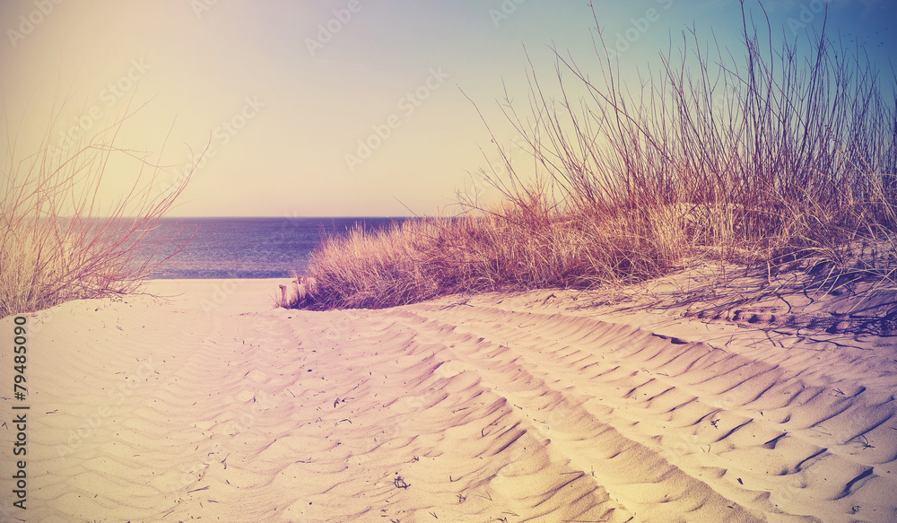 Vintage filtrowane plaży, tło natura lub baner. <span>plik: #79485090 | autor: MaciejBledowski</span>