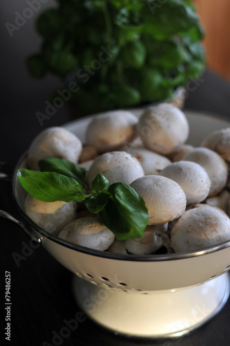 Принти на полотні frische champignons