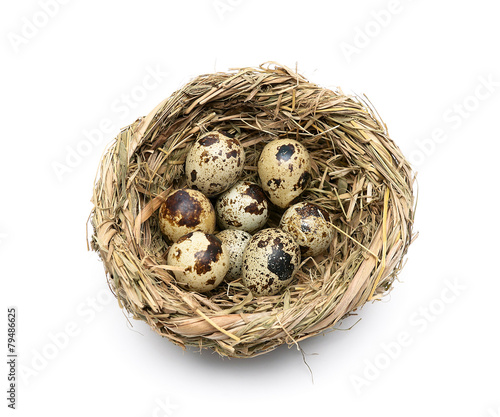 quail eggs in a nest isolated on a white background