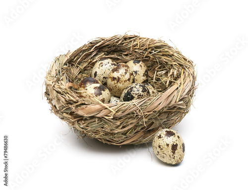 quail eggs in a nest close up isolated on white background