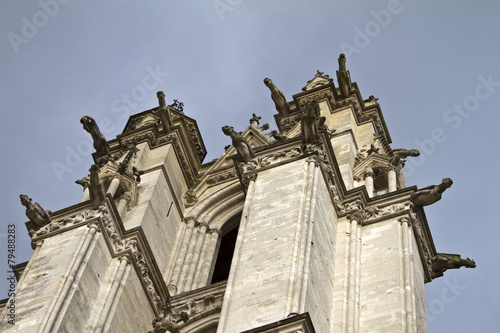 Cattedrale di Amiens, Gargoyles