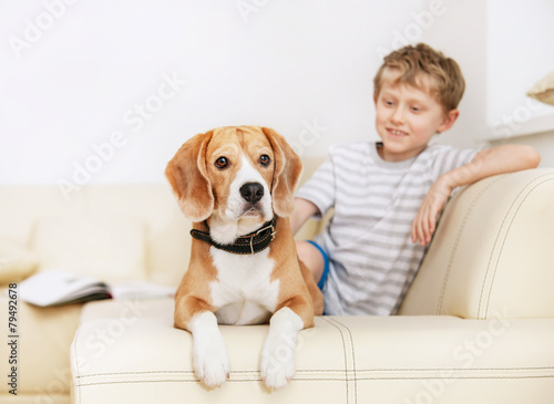 Little boy with beagle on the white sofa