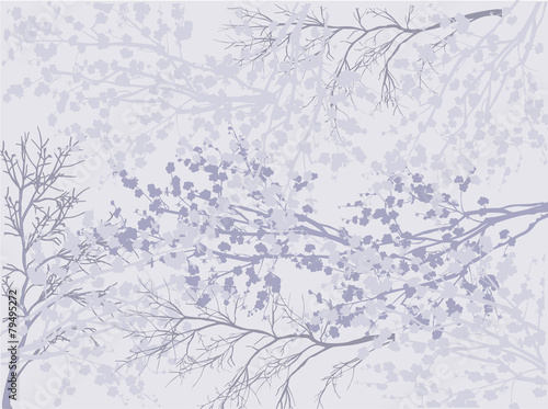 light background from spring tree blossoming branches