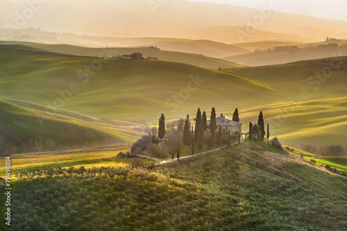 Spring wonderful landscape of Tuscany  green fields  sunrise and
