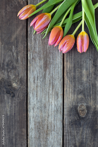 Wallpaper Mural five bright tulips on a wooden table Torontodigital.ca