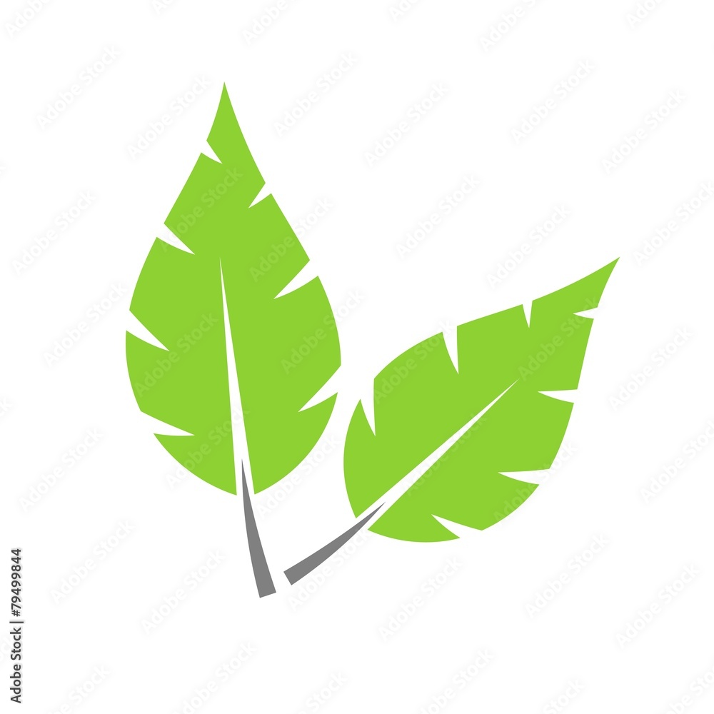 Two leaves Two leaves