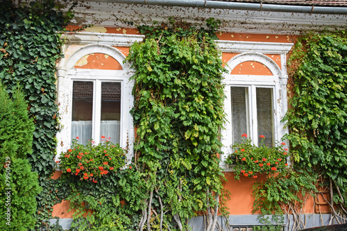 Windows of an old building with flowers