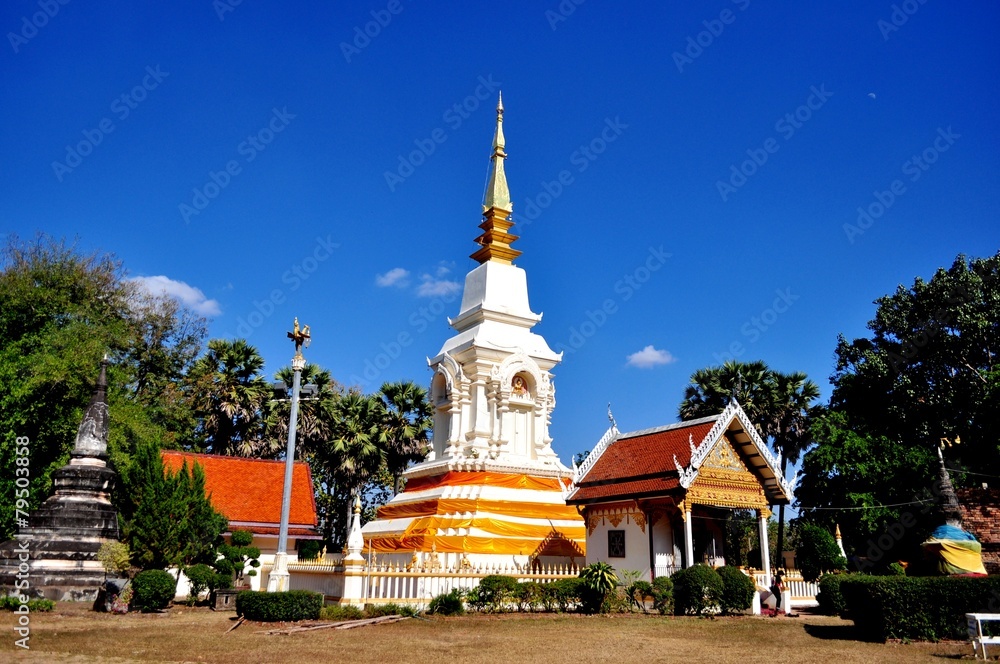 Fototapeta premium pagoda