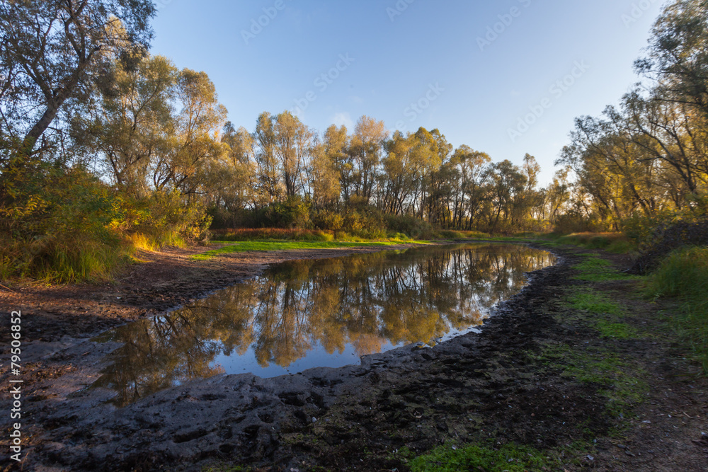 Morning on the bank of autumn lake