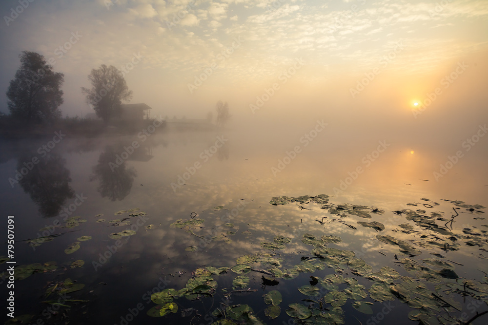 Lake with the fog at sunrise