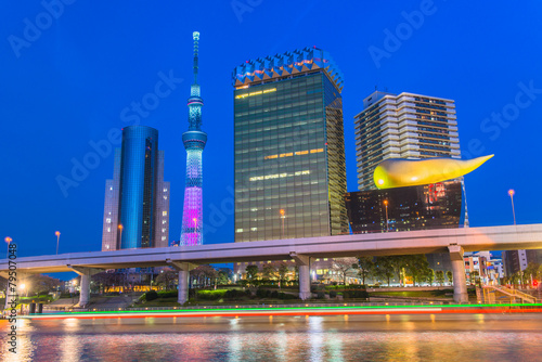 View of Tokyo skyline from Sumida river