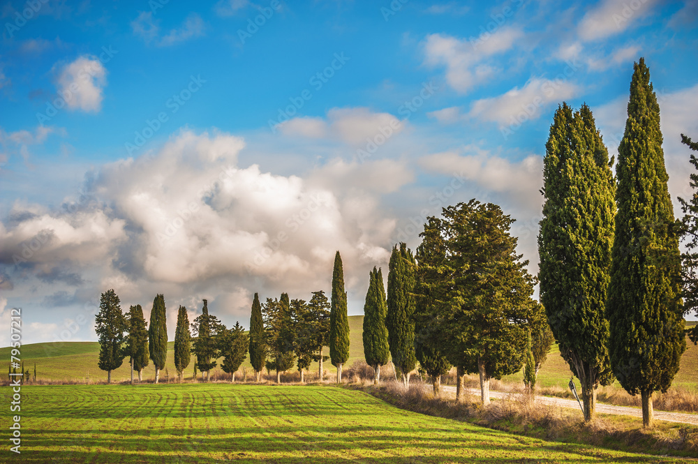 Tuscan country roads with Cypresses with blue cloudy sky in the