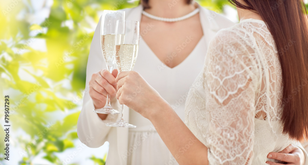 close up of lesbian couple with champagne glasses close up of lesbian couple with champagne glasses