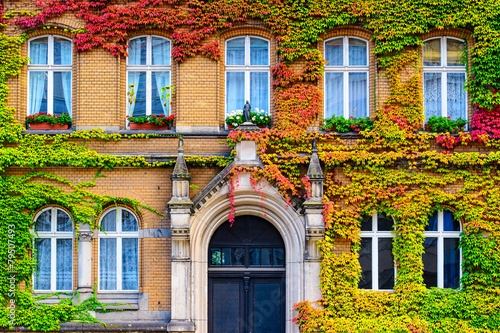 Vine Covered Building in Berlin