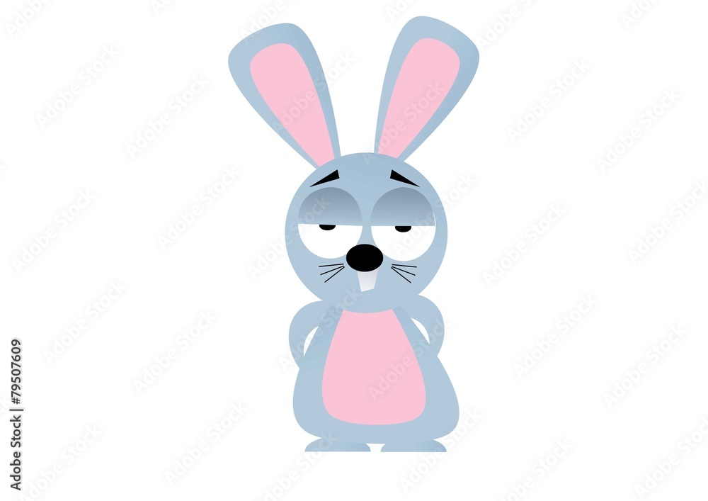 Fototapeta premium królik