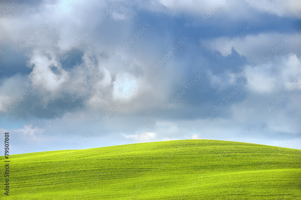 Obraz premium Spring wonderful landscape, green fields, sunrise and sunset, fi
